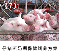 ���i�����ڱ�����B(y��ng)����